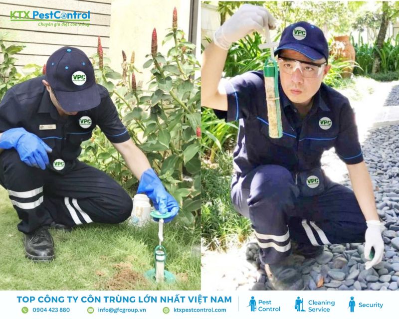 Công ty diệt mối VPC luôn áp dụng các công nghệ hiện đại