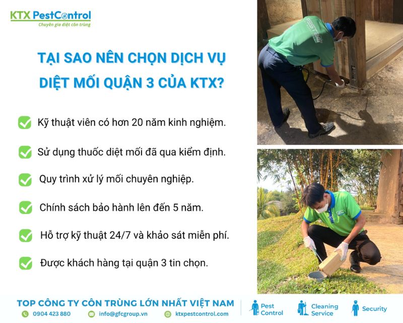 KTX cung cấp dịch vụ diệt mối quận 3 uy tín, chuyên nghiệp và an toàn