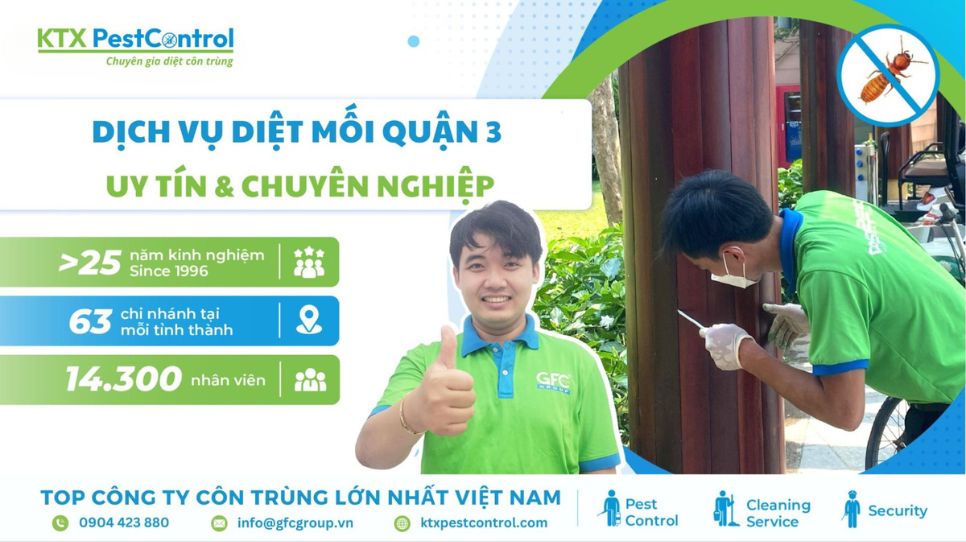 Dịch vụ diệt mối Quận 3 uy tín và chuyên nghiệp