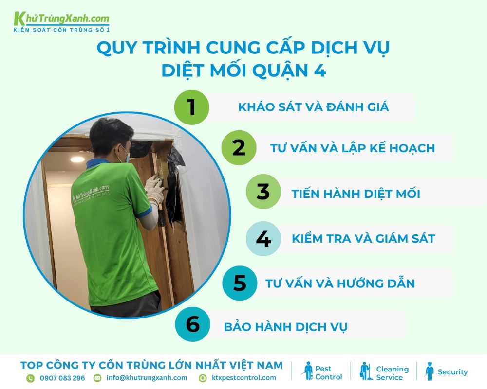 Diệt côn trùng KTX cung cấp quy trình diệt mối tại Quận 4