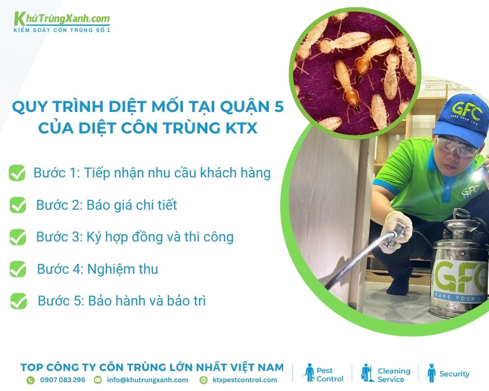 Quy trình triển khai dịch vụ diệt mối tại Quận 5 mà Diệt côn trùng KTX áp dụng