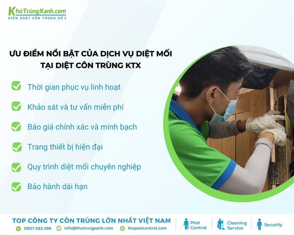 Dịch vụ diệt mối quận 5 tại Diệt côn trùng KTX cam kết chất lượng dịch vụ diệt mối