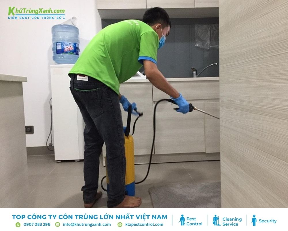 Kỹ thuật viên tiến hành triển khai dịch vụ diệt mối 