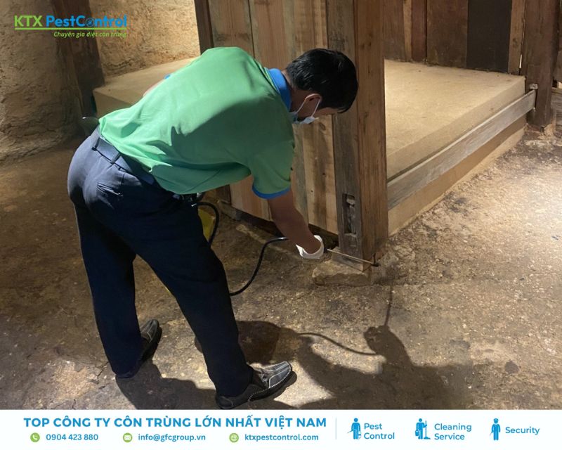 Kỹ thuật viên phun dung dịch diệt mối tại nhà quận 7