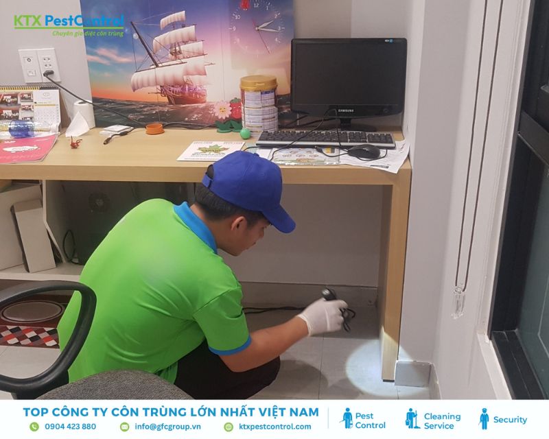 Kỹ thuật viên dùng đèn pin kiểm tra các vị trí nghi có mối trong nhà