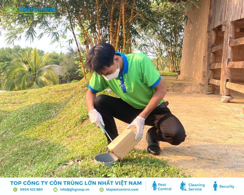 Kỹ thuật viên xử lý ổ mối sau 15 ngày