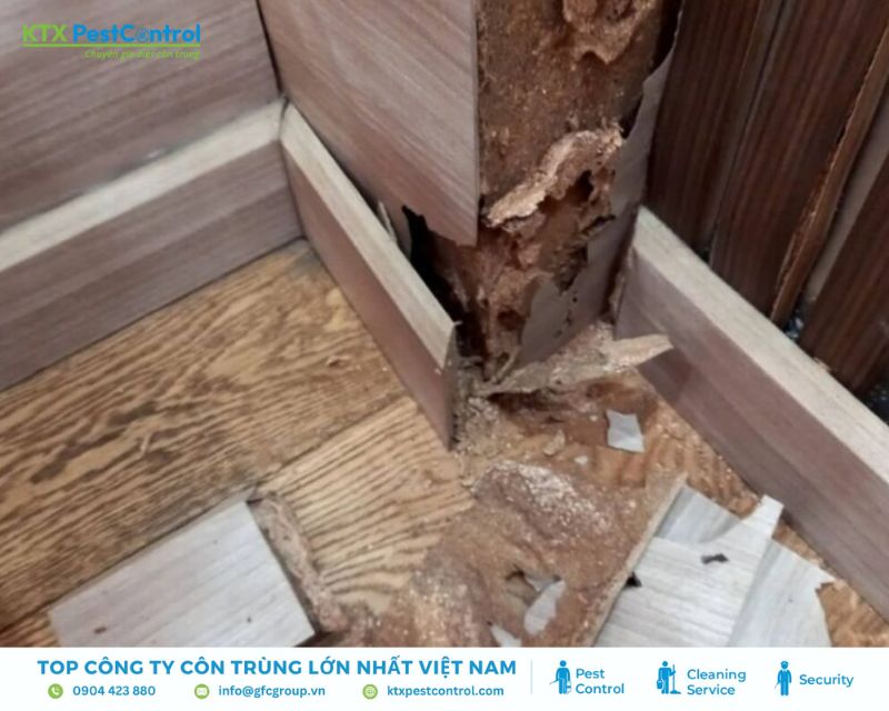 Đường mối nối dài từ chân tường đến gầm giường