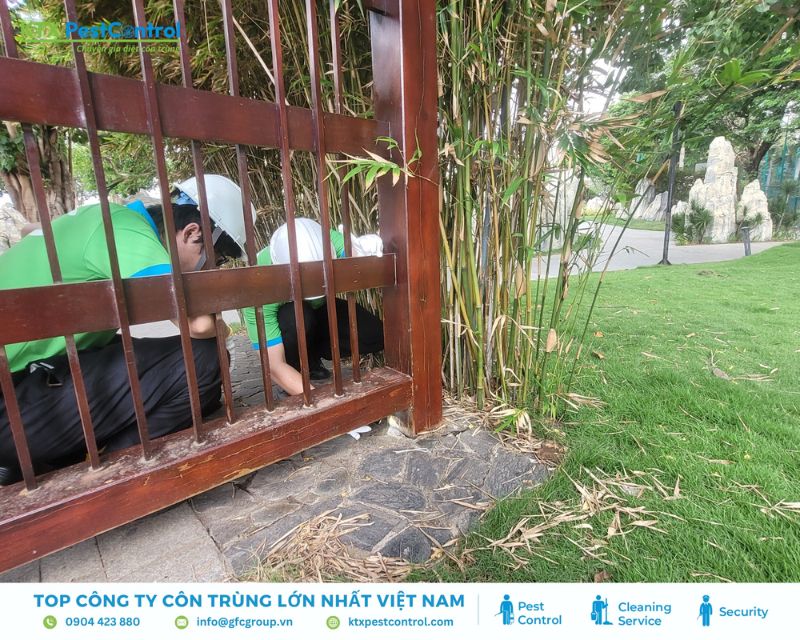 Kỹ thuật viên tiến hành khảo sát và đặt hộp nhử mối