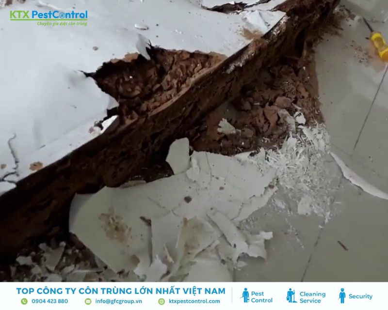 Mối ăn sâu vào cạnh tủ, phấn gỗ dễ vỡ khi chạm nhẹ