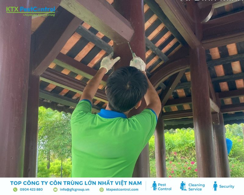 nhân viên dịch vụ diệt mối quận 7 kiểm tra mối trong trụ