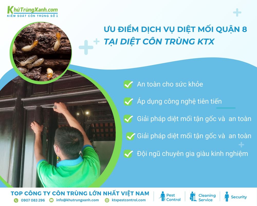 Quy trình diệt mối quận 8 được thực hiện bởi đội ngũ kỹ thuật viên giàu kinh nghiệm