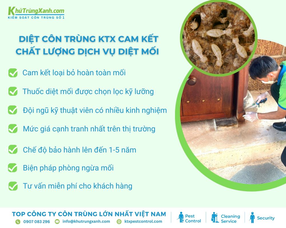 Diệt côn trùng KTX cam kết cung cấp bảng báo giá chi tiết, minh bạch
