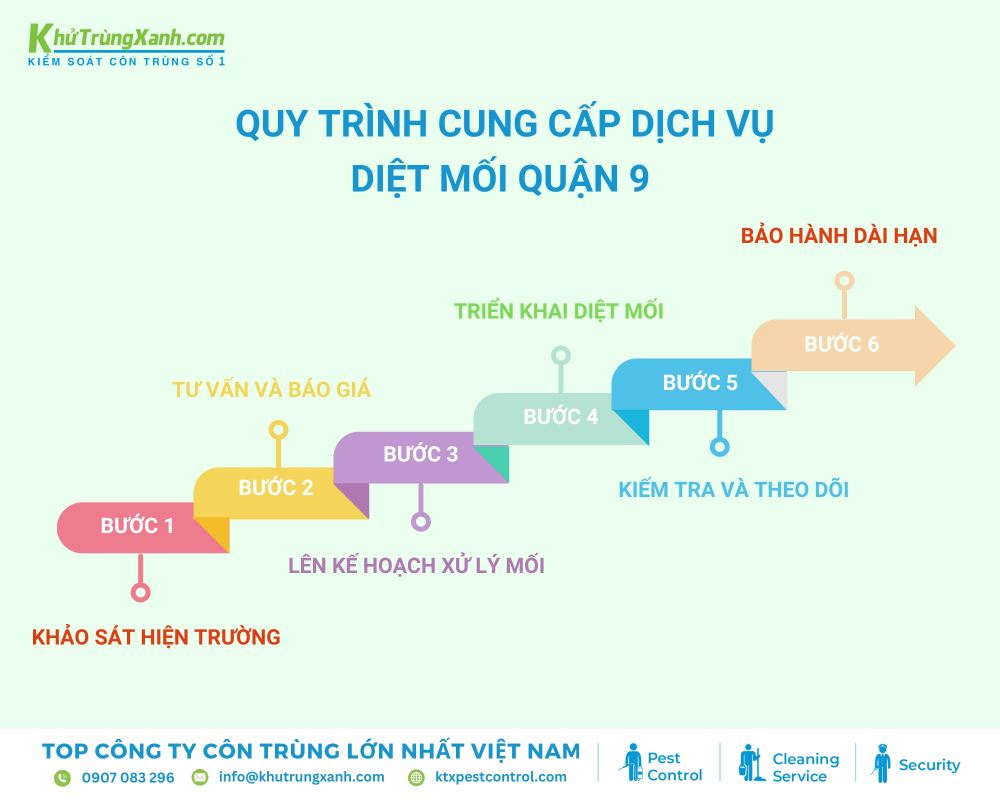 Quy trình cung cấp dịch vụ diệt mối tại Diệt côn trùng KTX