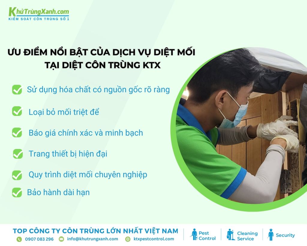Diệt côn trùng KTX cam kết bảo hành dịch vụ diệt mối Tân Bình từ 1-5 năm
