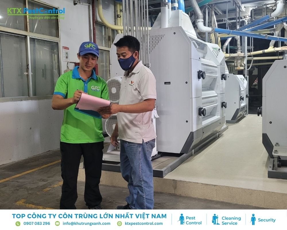 Diệt mối KTX triển khai dịch vụ diệt mối tại nhà xưởng ở Hải Phòng
