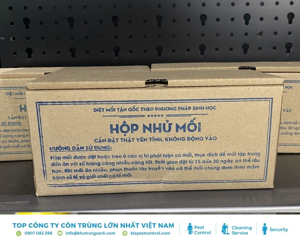 Đặt hộp nhử mối tại khu vực nhiễm mối