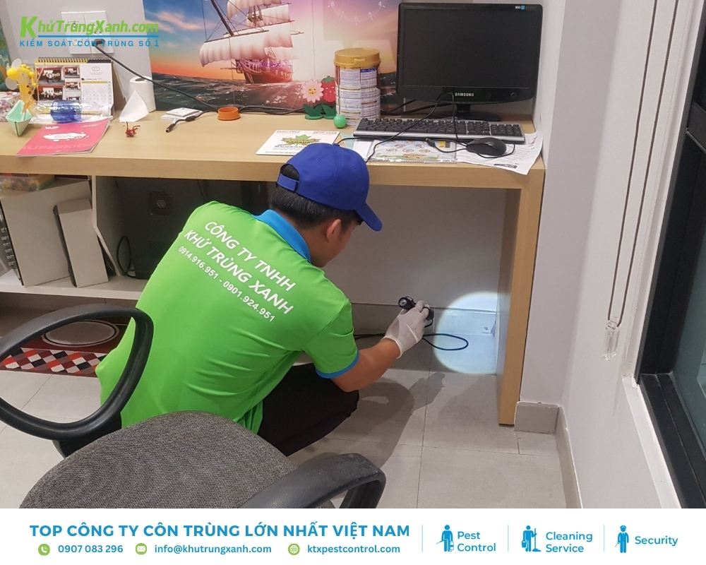 Xác định vị trí, đường đi của mối để rắc bột khử mối