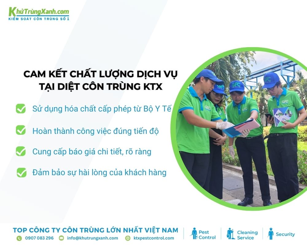 Cam kết dịch vụ diệt mối Tân Phú của KTX