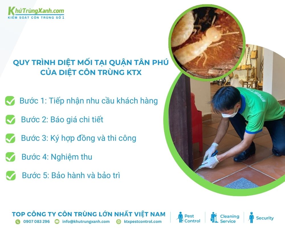 Quy trình dịch vụ diệt mối quận Tân Phú tại Diệt côn trùng KTX