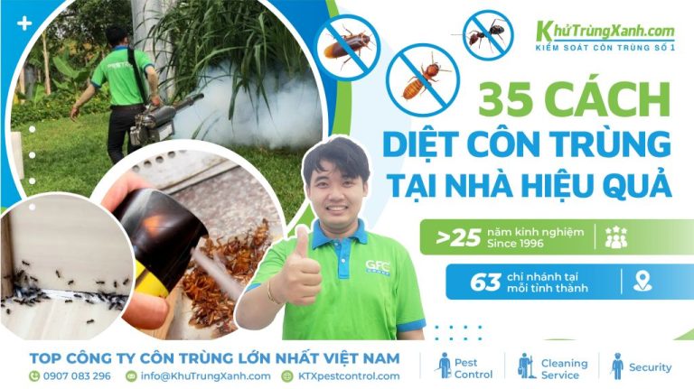 15 cách ngăn côn trùng vào nhà an toàn, không dùng hoá chất