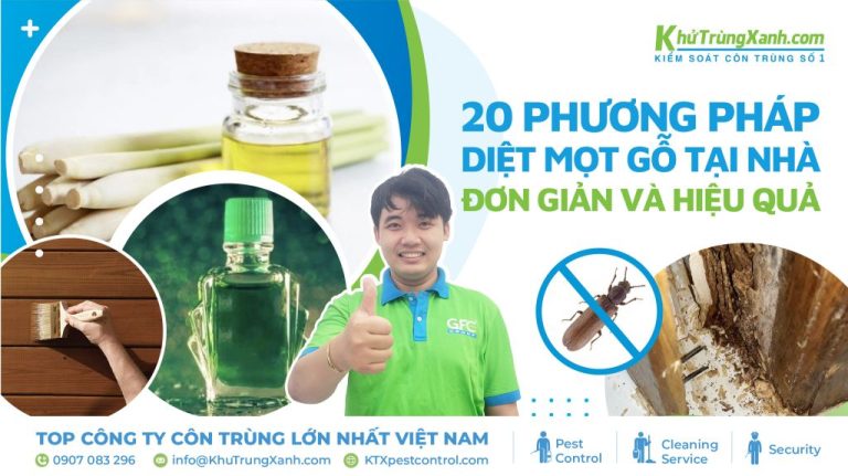 19 Cách diệt mọt gỗ tại nhà đơn giản và hiệu quả 