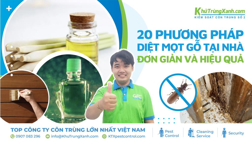 19 Cách diệt mọt gỗ tại nhà đơn giản và hiệu quả 