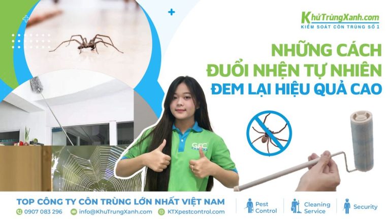 Những cách đuổi nhện tự nhiên đem lại hiệu quả cao