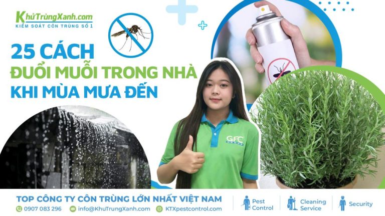 24 cách đuổi muỗi đơn giản, hiệu quả khi mùa mưa đến