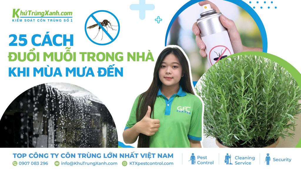 24 cách đuổi muỗi đơn giản, hiệu quả khi mùa mưa đến