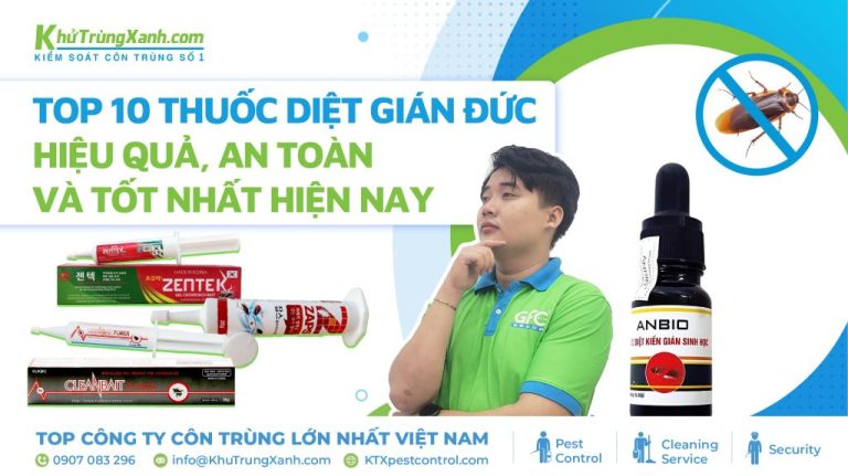 Top 10 thuốc diệt gián Đức hiệu quả, an toàn và tốt nhất hiện nay