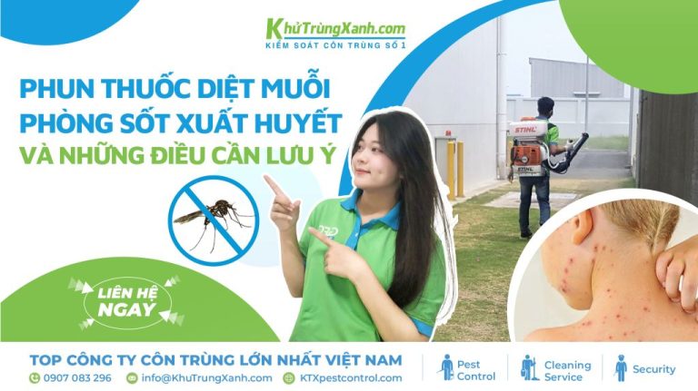 Phun thuốc diệt muỗi phòng sốt xuất huyết và những điều lưu ý 