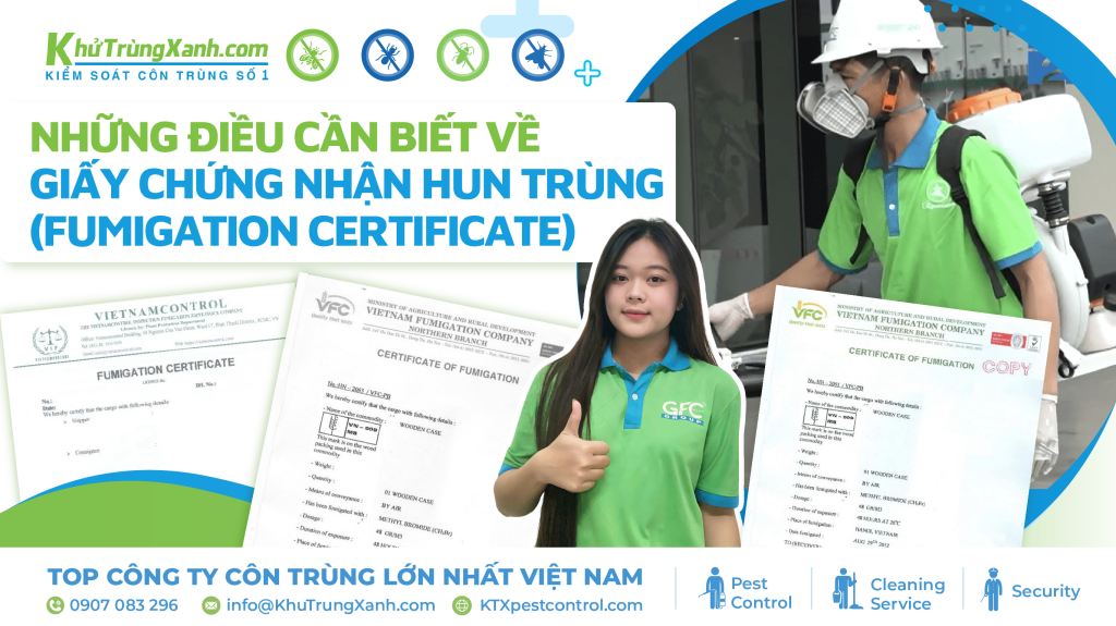 Những điều cần biết về giấy chứng nhận hun trùng (Fumigation Certificate)