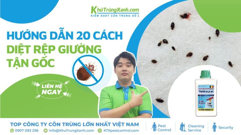 Hướng dẫn 20 cách diệt rệp giường tận gốc 