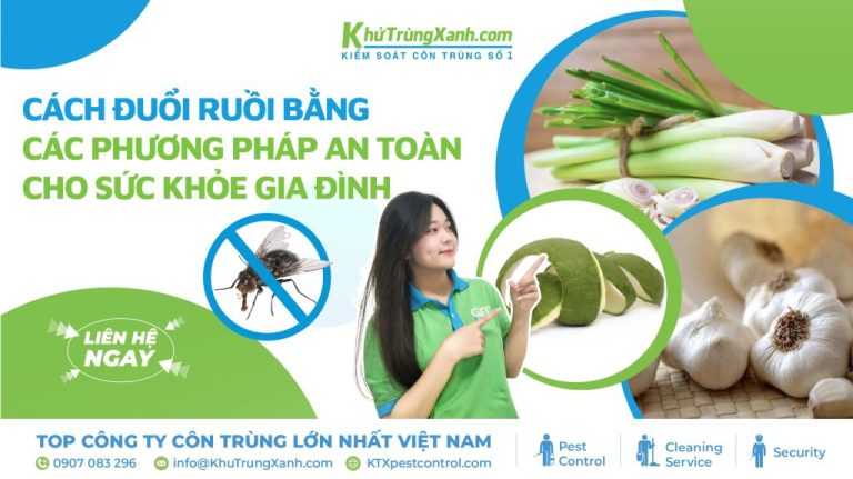 Cách đuổi ruồi bằng các phương pháp an toàn cho sức khỏe gia đình 