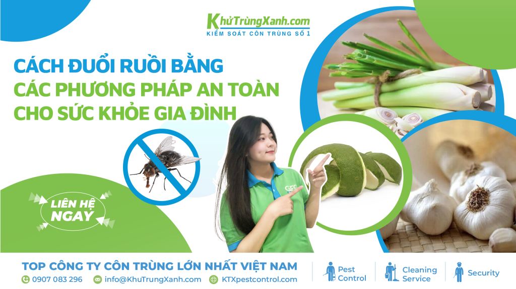 Cách đuổi ruồi bằng các phương pháp an toàn cho sức khỏe gia đình 