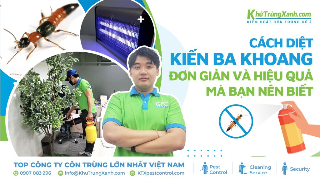 Cách diệt kiến ba khoang đơn giản và hiệu quả mà bạn nên biết 