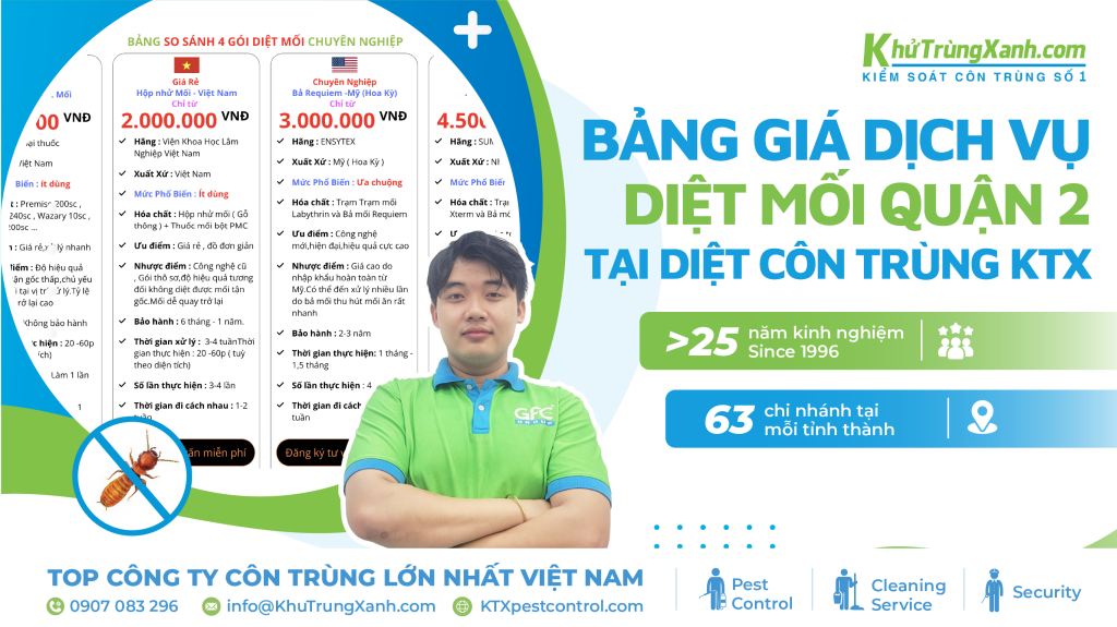 Bảng giá dịch vụ diệt mối Quận 2 tại Diệt côn trùng KTX
