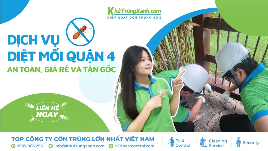 Dịch vụ diệt mối Quận 4 an toàn, giá rẻ và tận gốc