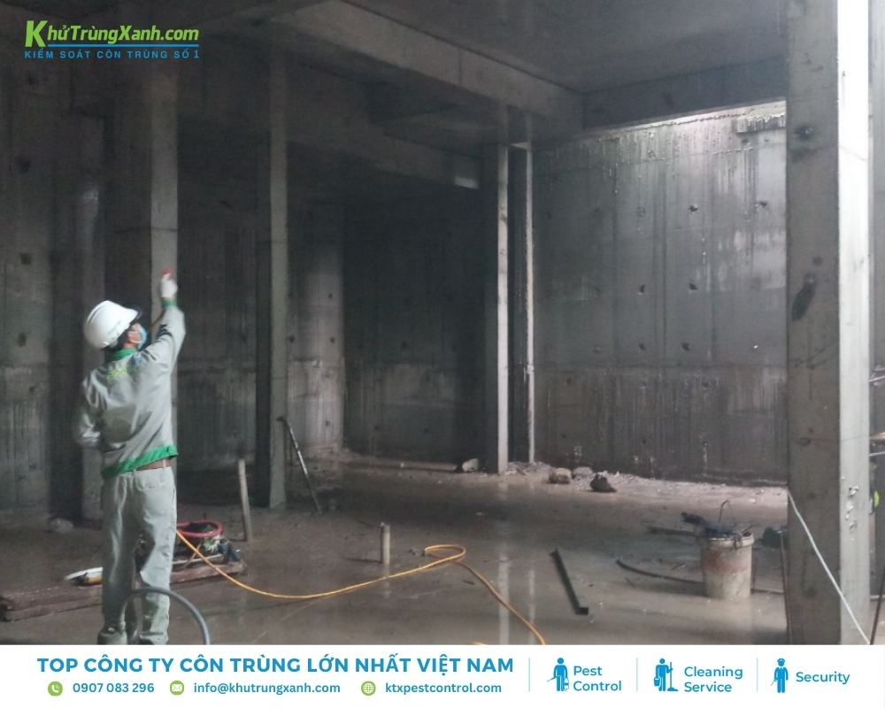 Cần dựa trên điều kiện của công trình để tìm ra biện pháp phòng chống mối thích hợp