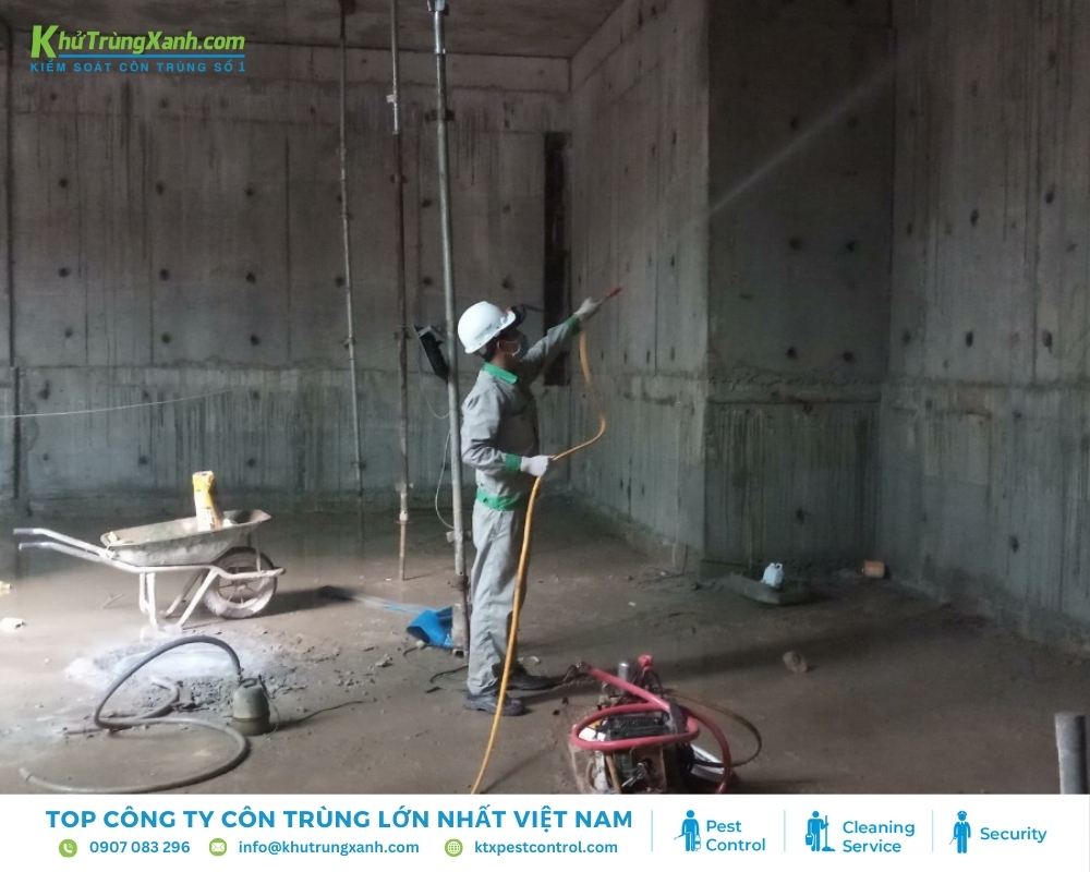 Công trình xây dựng cần được phòng chống mối để đảm bảo chất lượng