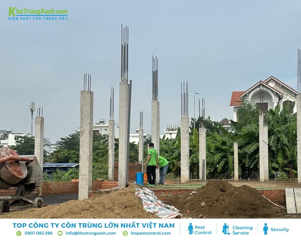 Nên sử dụng dịch vụ chống mối tại đơn vị uy tín, chuyên nghiệp