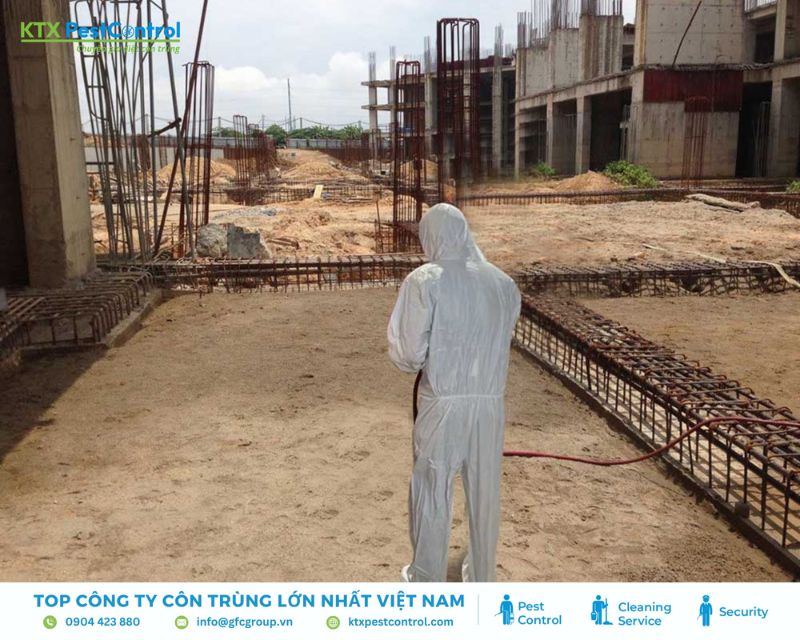 phòng chống mối trước khi xây nhà tránh phát sinh về sau