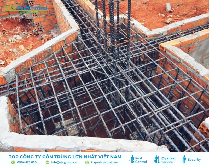 phun thuốc chống mối cho móng cọc