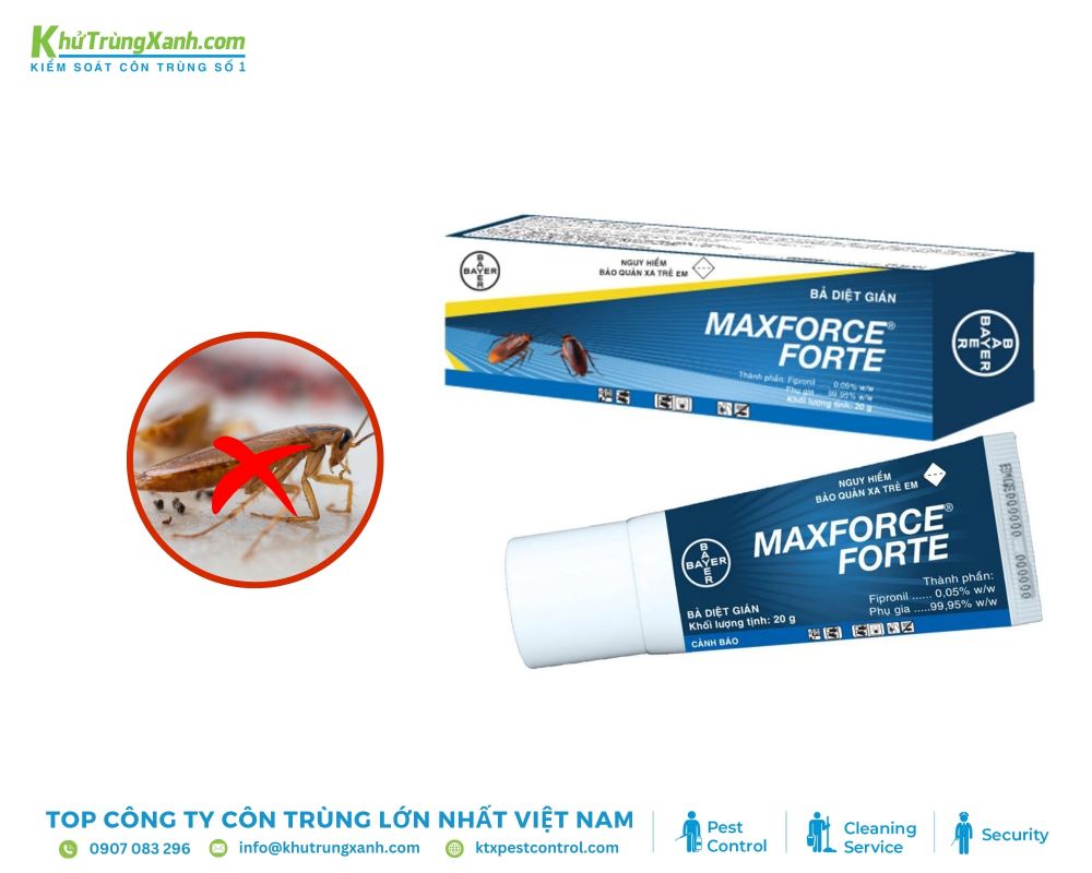 Maxforce FC chứa hoạt chất Fipronil, chất độc thần kinh mạnh, giúp tiêu diệt gián nhanh chóng