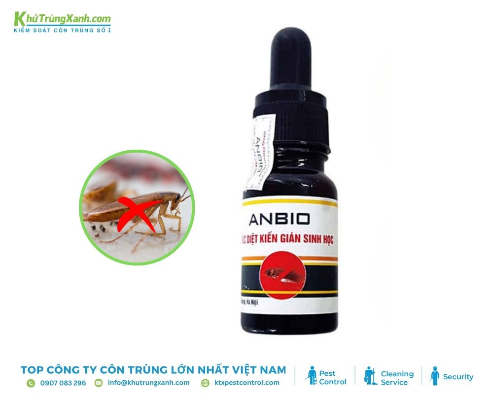 Thuốc có dạng lỏng, dễ dàng pha loãng và phun xịt vào các vị trí gián thường xuất hiện