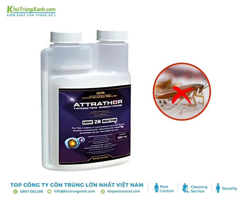 Mùi hương hấp dẫn của thuốc Attrathor sẽ thu hút gián đến ăn