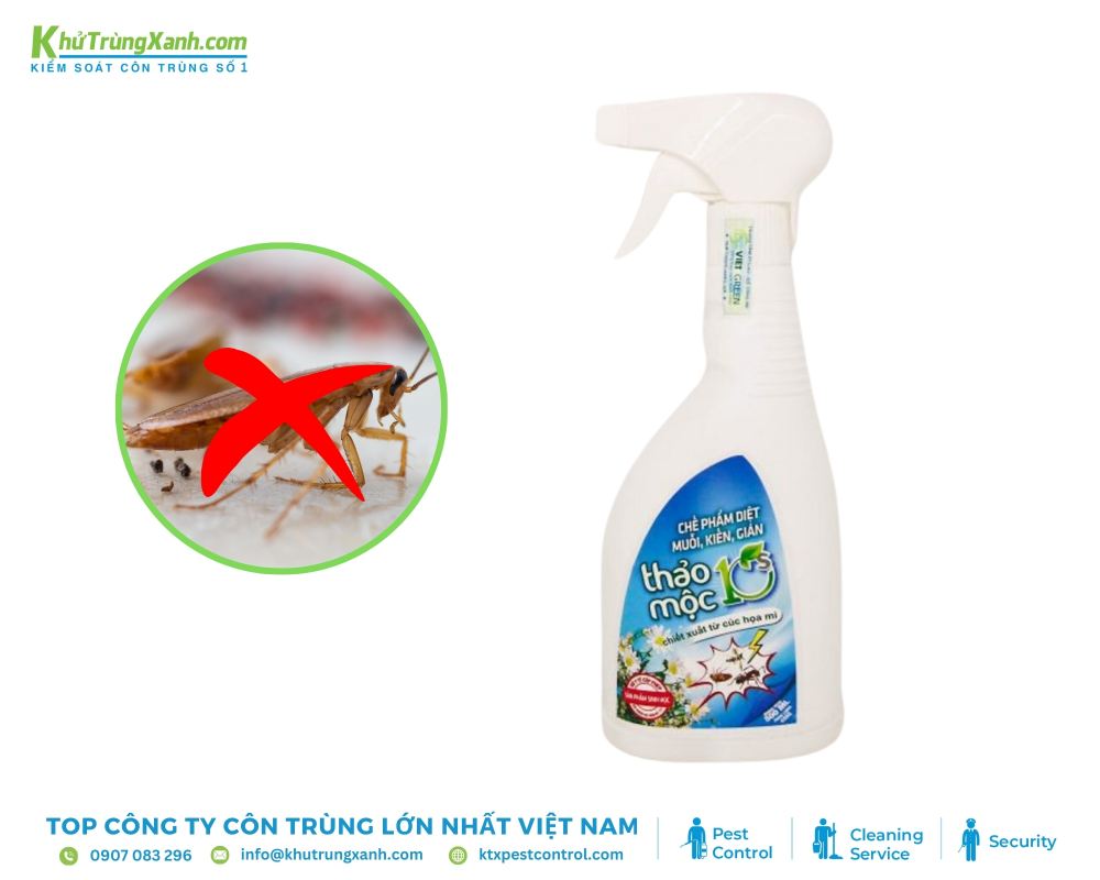 Thuốc diệt gián Đức thảo dược 10S không gây hại cho sức khỏe con người và vật nuôi