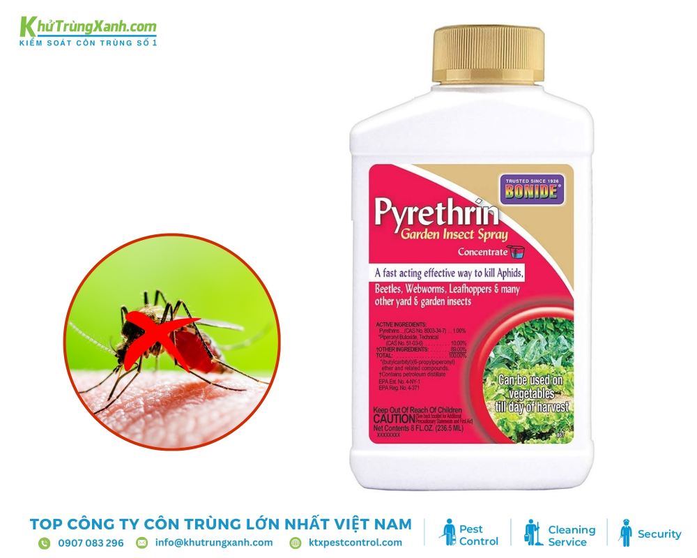Nhóm thuốc diệt muỗi có gốc Pyrethrine