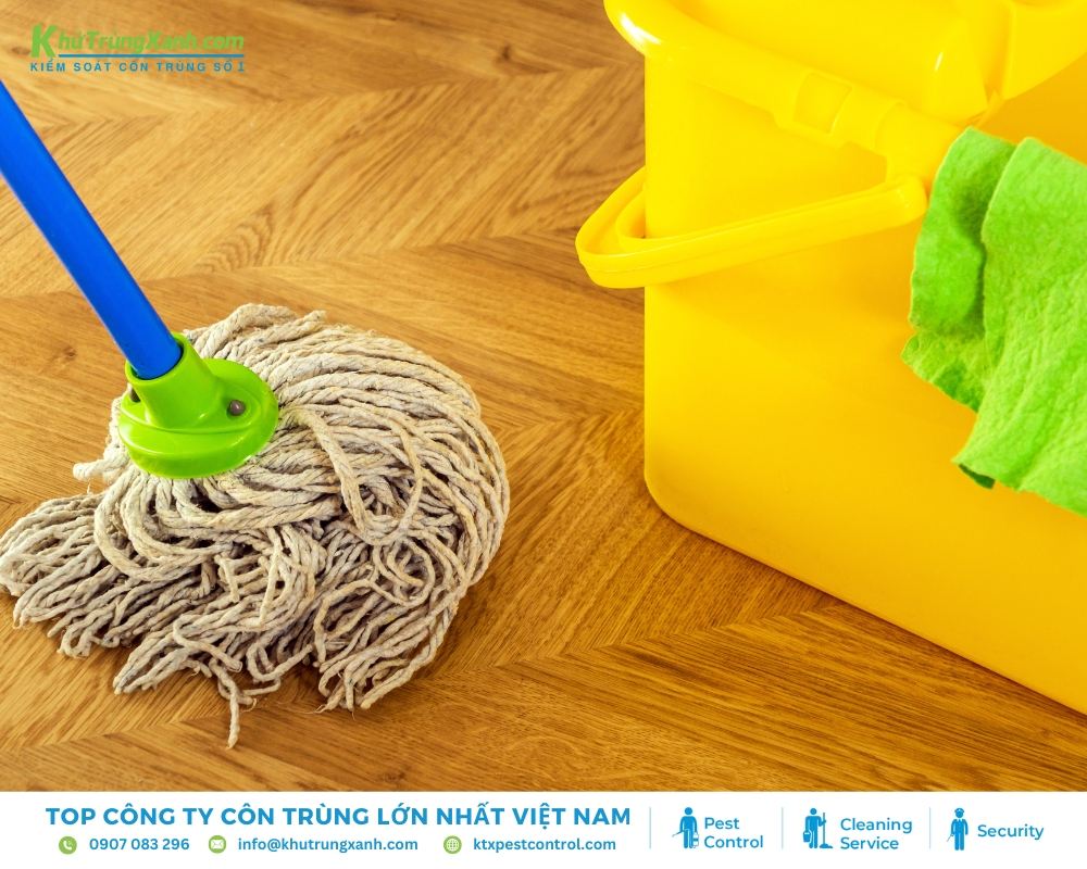 Nên lau nhà sau 1 tiếng phun thuốc để có hiệu quả tốt nhất