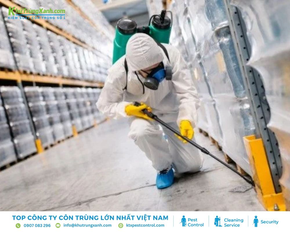 Đeo khẩu trang, găng tay và bảo hộ mắt khi thực hiện khử trùng xông hơi